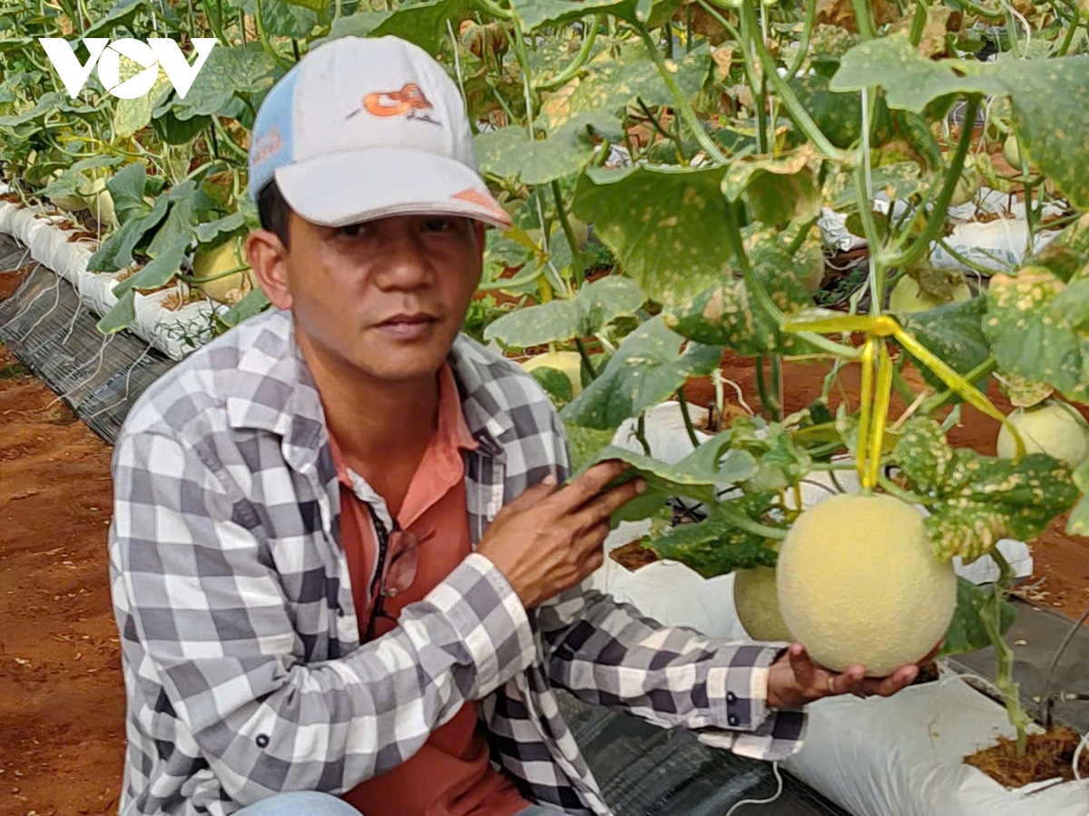 Chinh phục vùng “bán sa mạc” ở Bình Thuận để làm nông nghiệp công nghệ cao